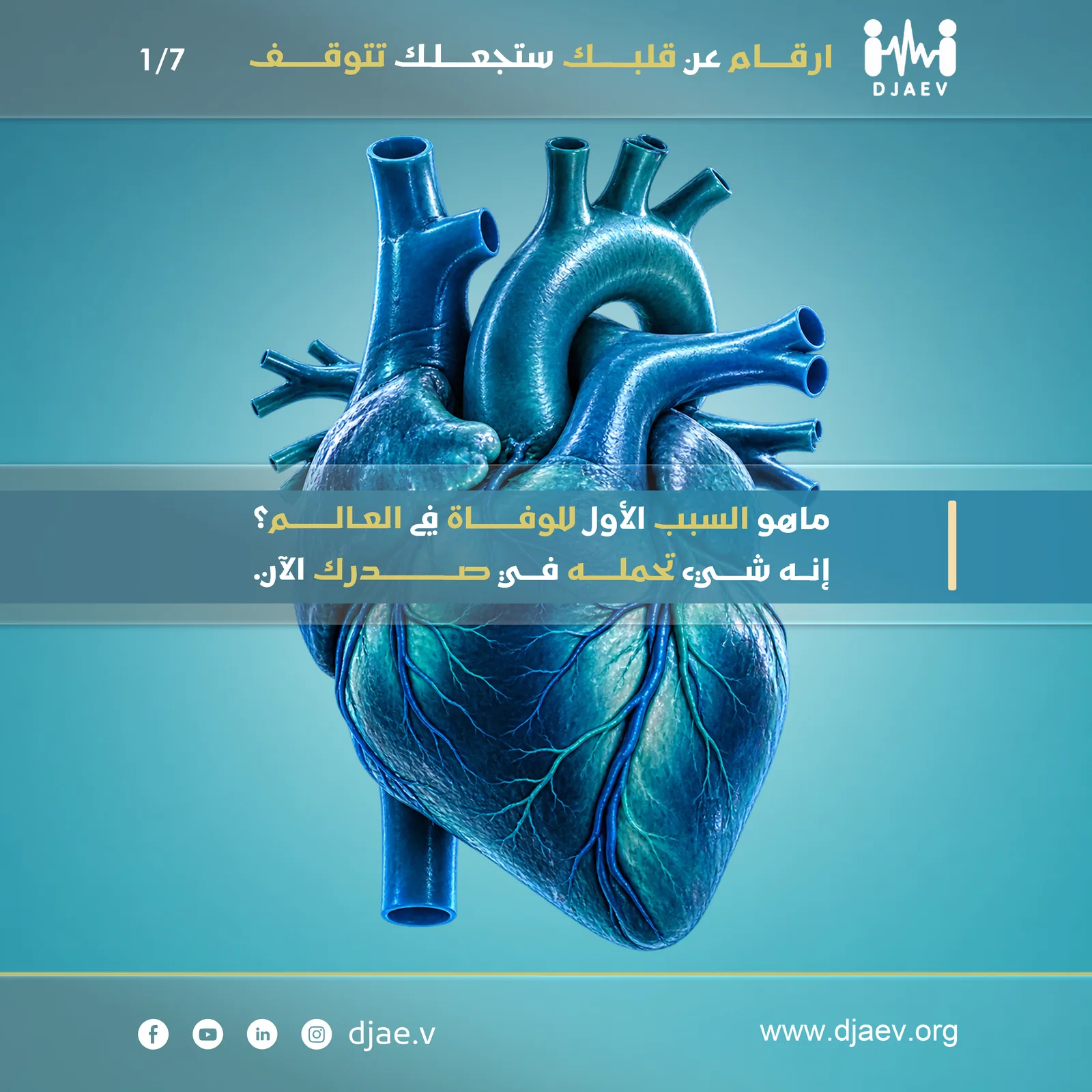 شريحة 1 من 7