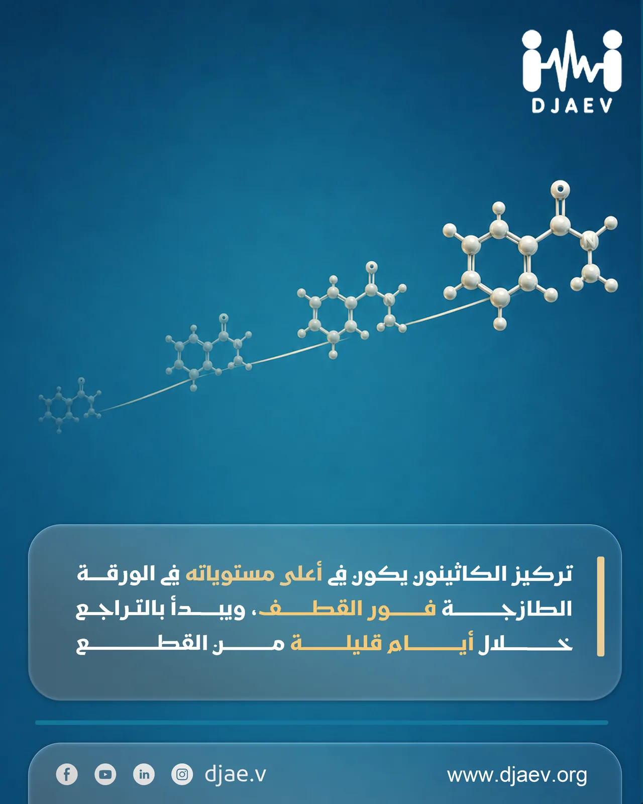 شريحة 3 من 5