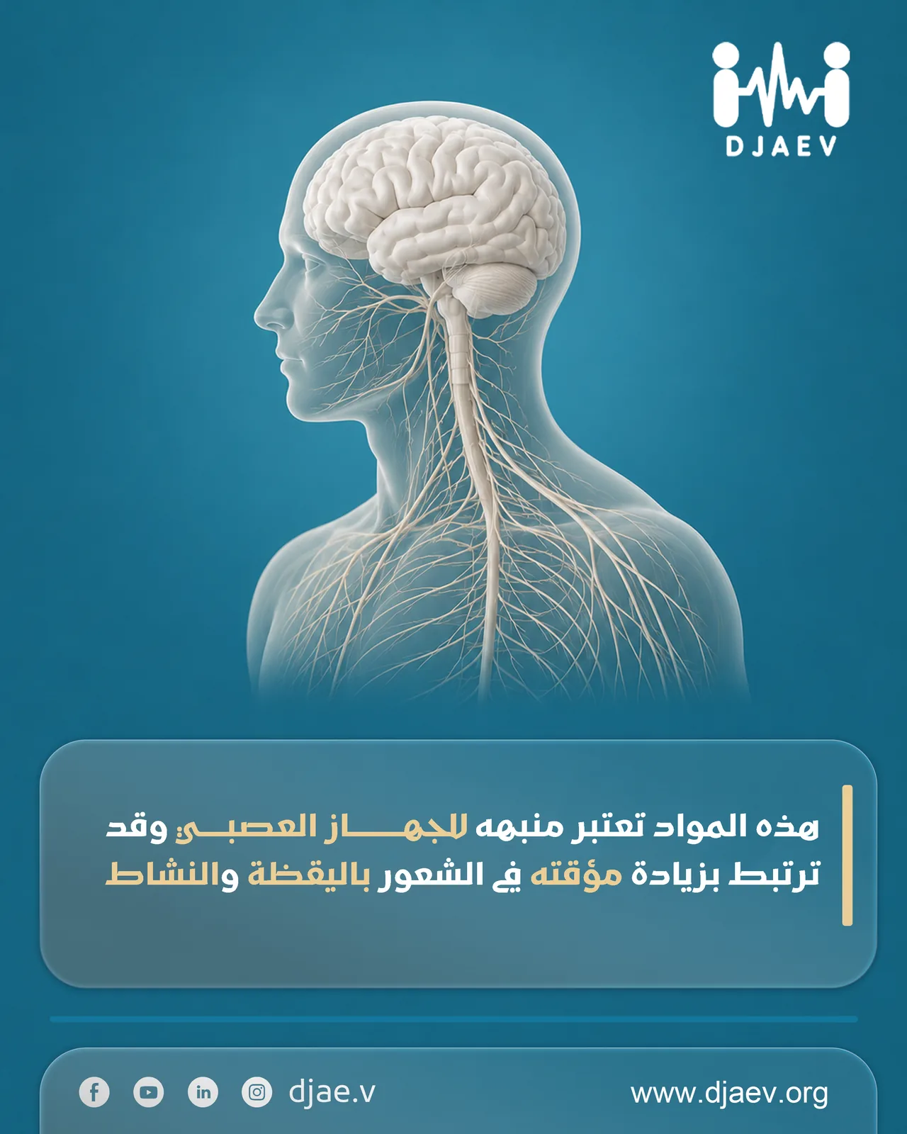 شريحة 4 من 5