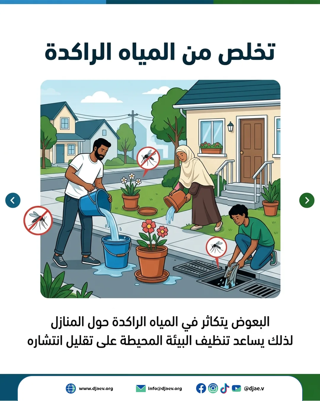 شريحة 4 من 6