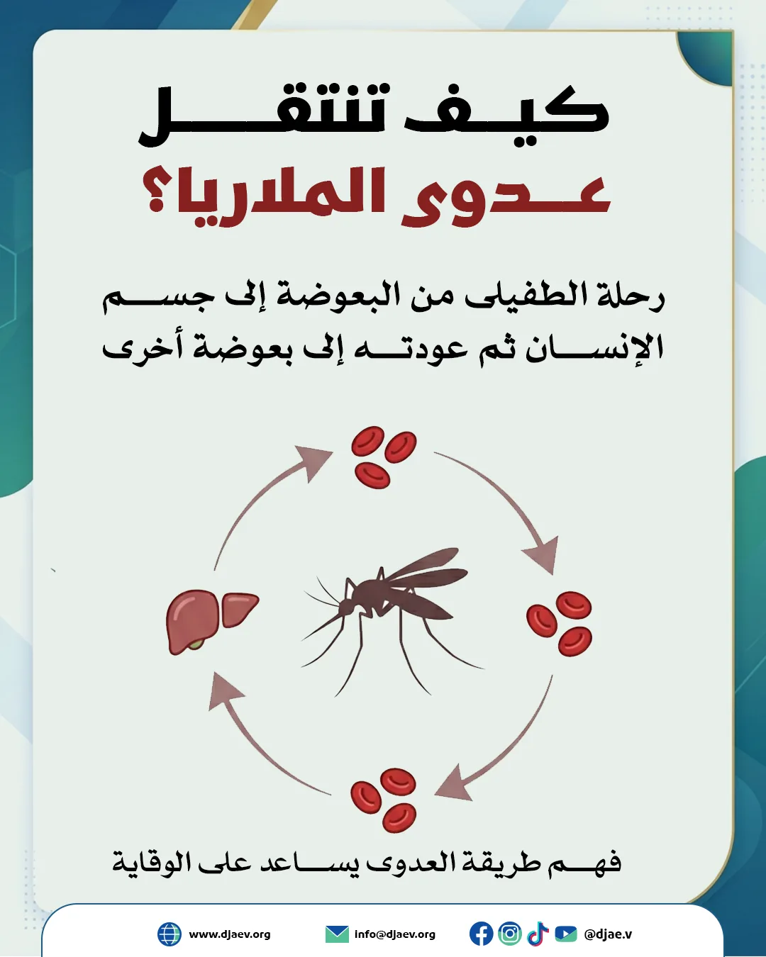 شريحة 1 من 6