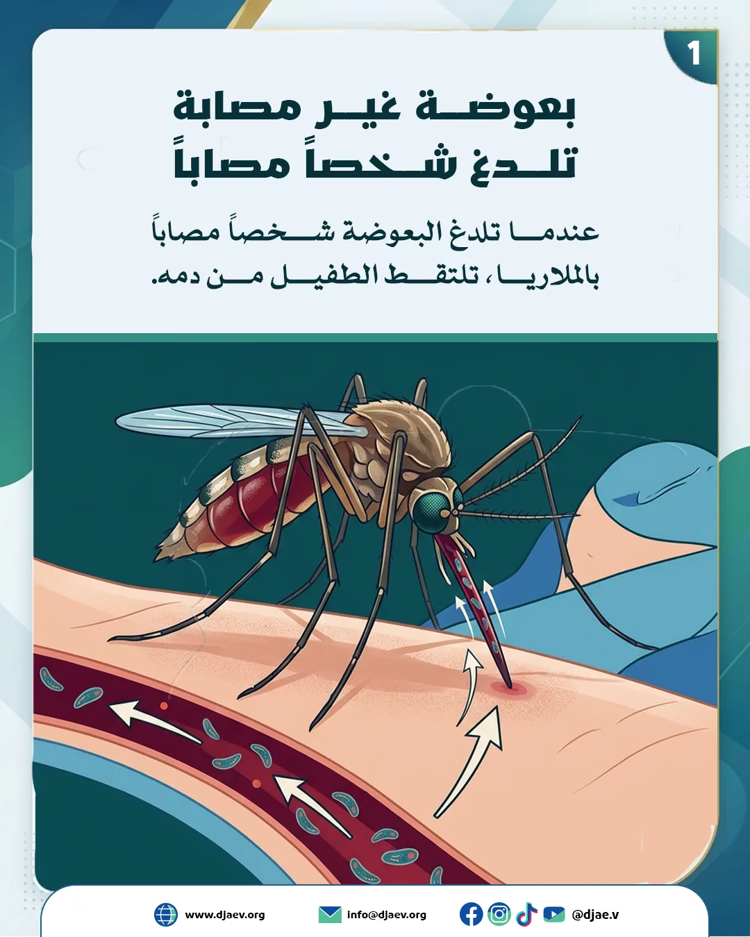 شريحة 2 من 6