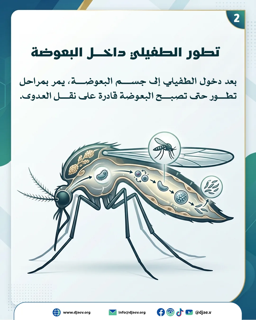شريحة 3 من 6