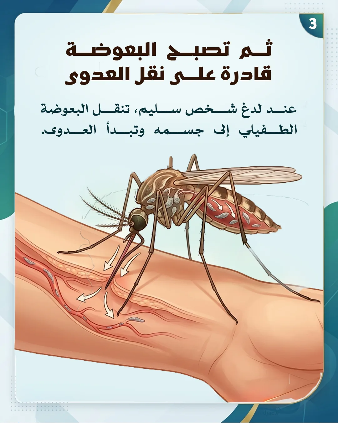 شريحة 4 من 6