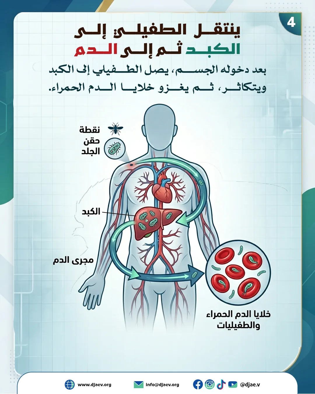 شريحة 5 من 6