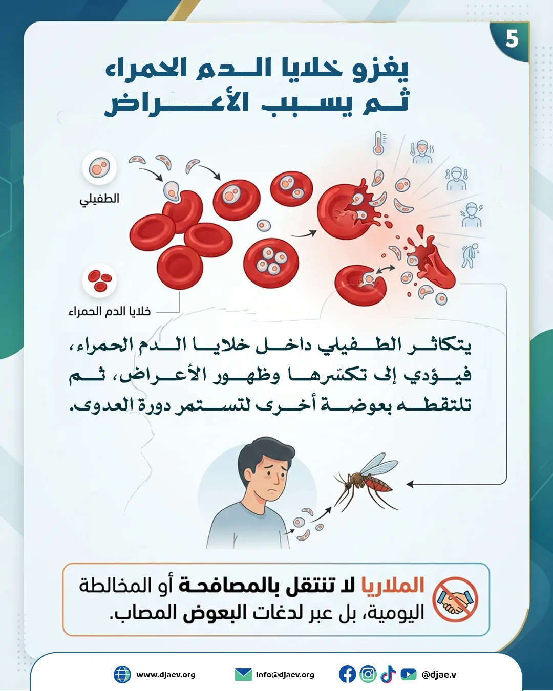 شريحة 6 من 6