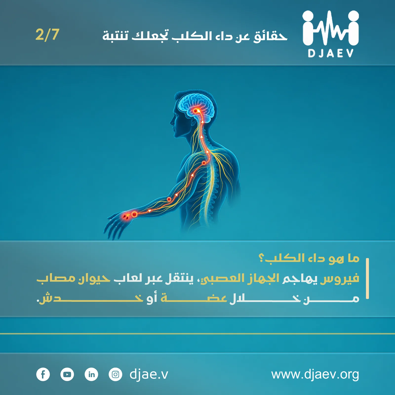 شريحة 2 من 7
