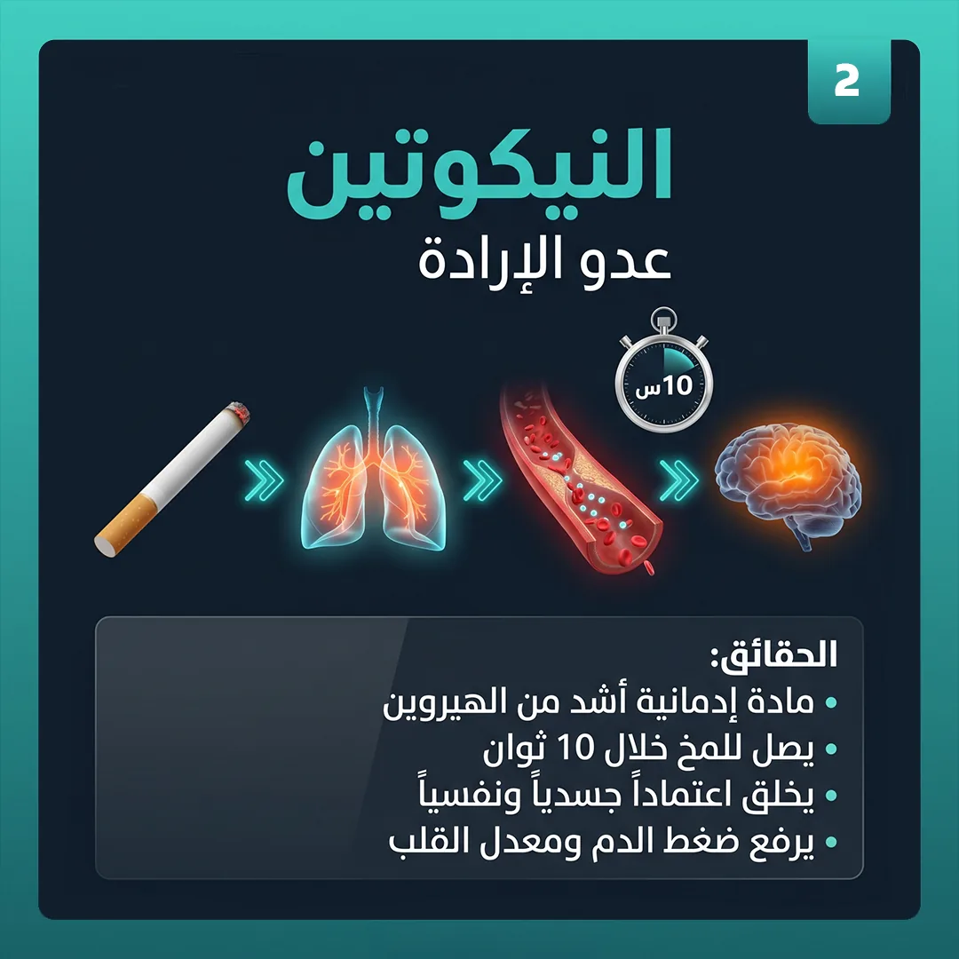 شريحة 2 من 6