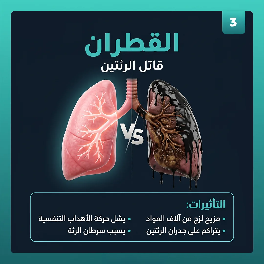 شريحة 3 من 6