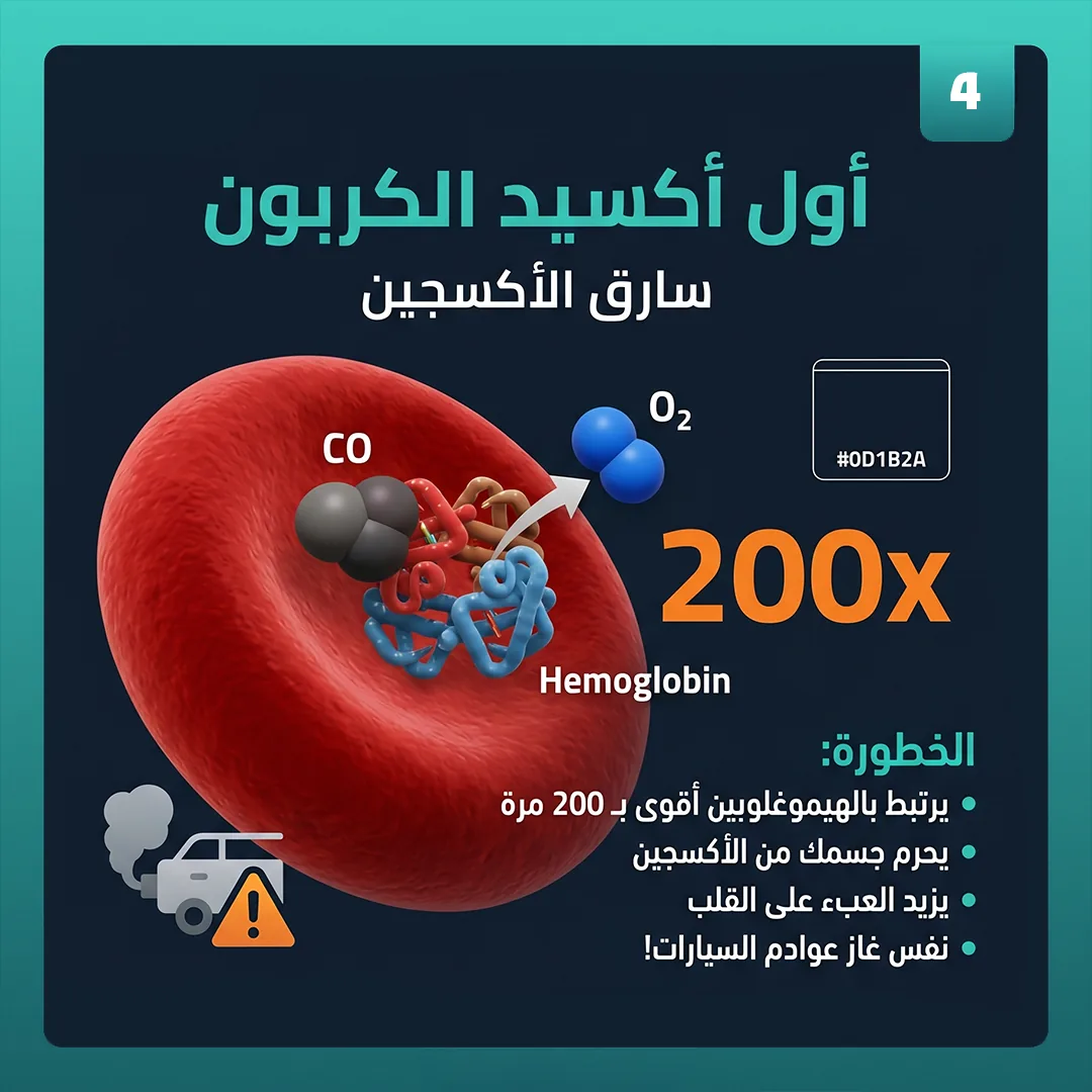 شريحة 4 من 6