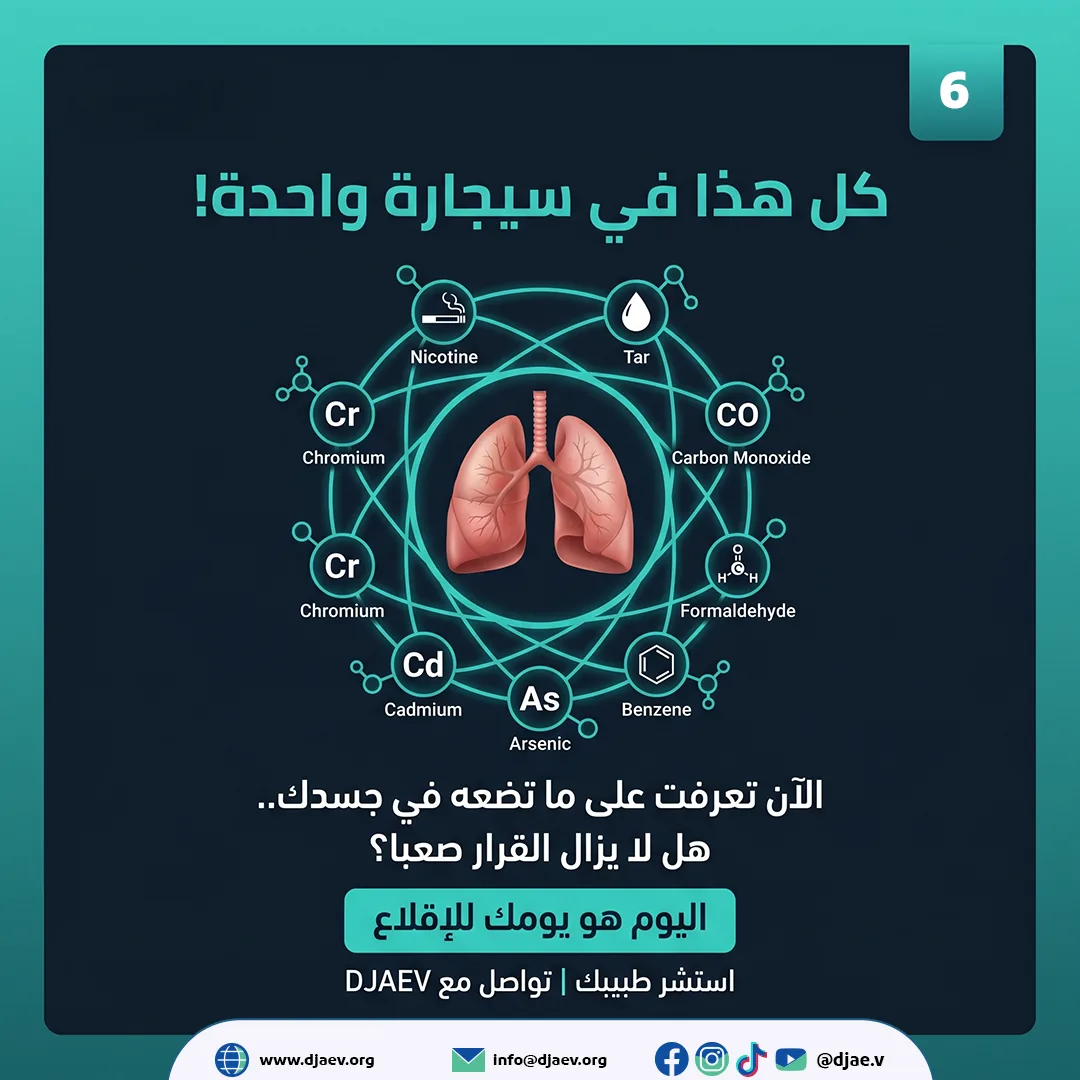 شريحة 6 من 6